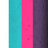 Silly Farm Arty Brush Cake - Aqua