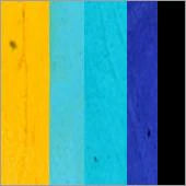 Silly Farm Arty Brush Cake - Iris