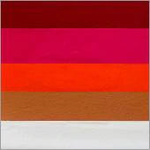 Silly Farm Arty Brush Cake - Lenore Koppelman's Collection "Coral Crush"