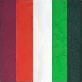 Silly Farm Arty Brush Cake - "Madame Razz" Gillian Child Emerald Collection