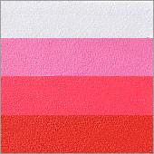 Silly Farm Rainbow Cake - Valentine White