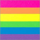 Silly Farm Rainbow Cake - Silly Farm Neon