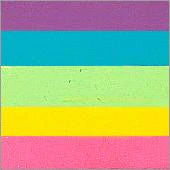 Silly Farm Rainbow Cake - Soft Rainbow Pixie