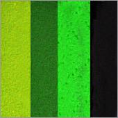 Silly Farm Arty Brush Cake - True Leaf